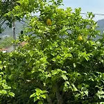 Quinta Dos Sonhos
