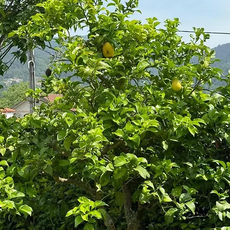 Quinta Dos Sonhos