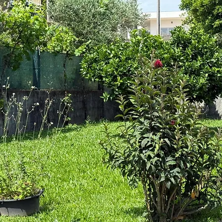 Quinta Dos Sonhos Дом отдыха *