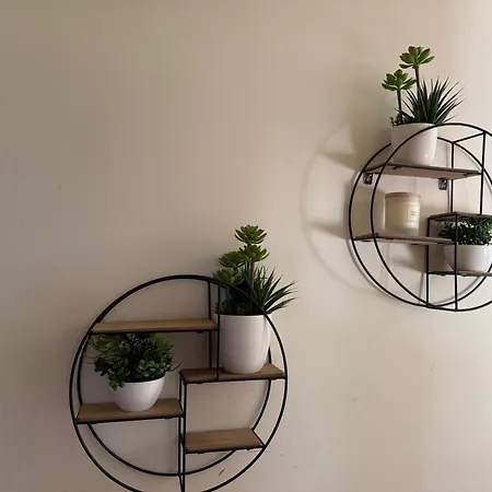 Quinta Dos Sonhos Holiday home