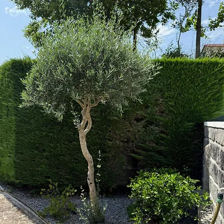 度假居 Quinta Dos Sonhos