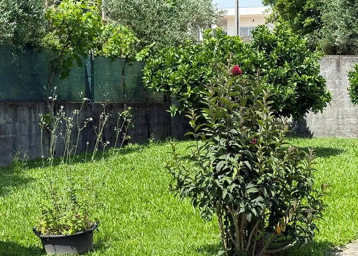 Quinta Dos Sonhos Сasa de vacaciones *