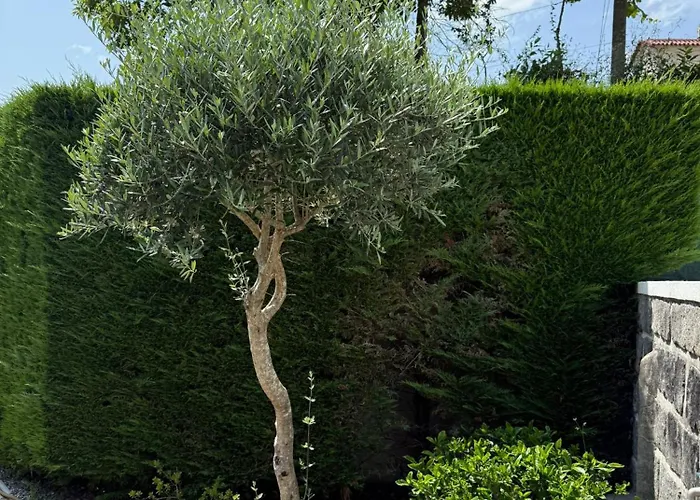 Дом отдыха Quinta Dos Sonhos